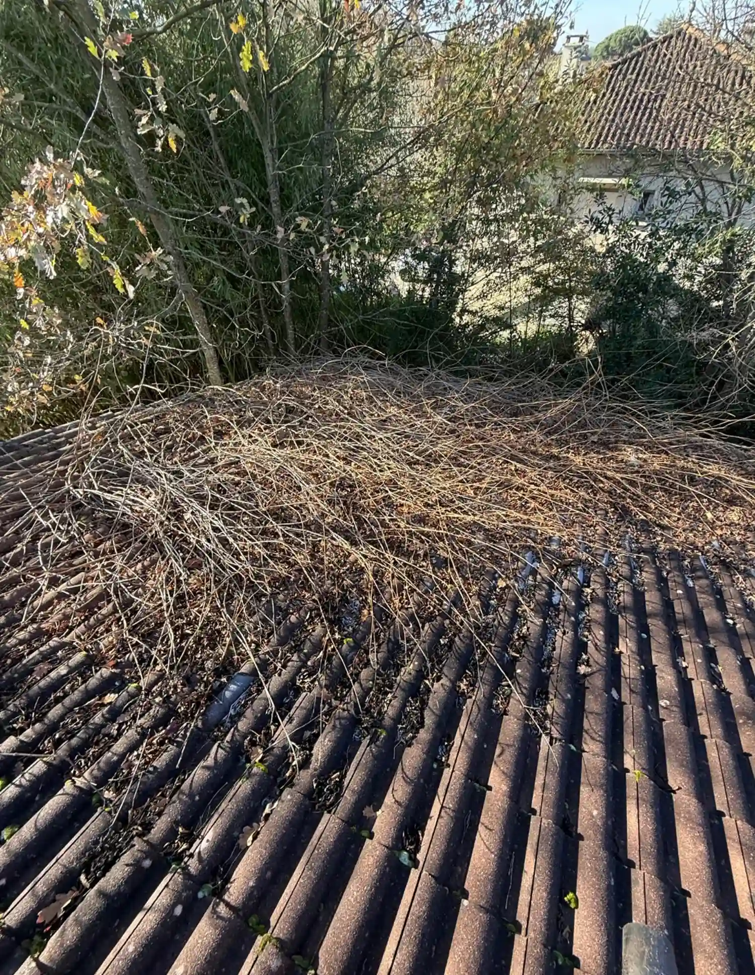 toiture abandon avant