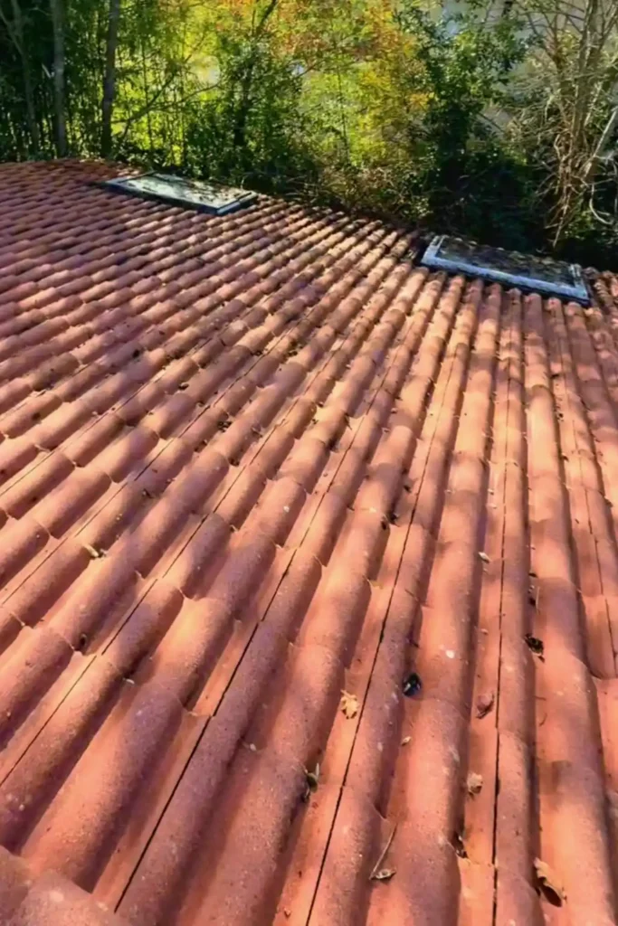 Toiture en tuile après nettoyage