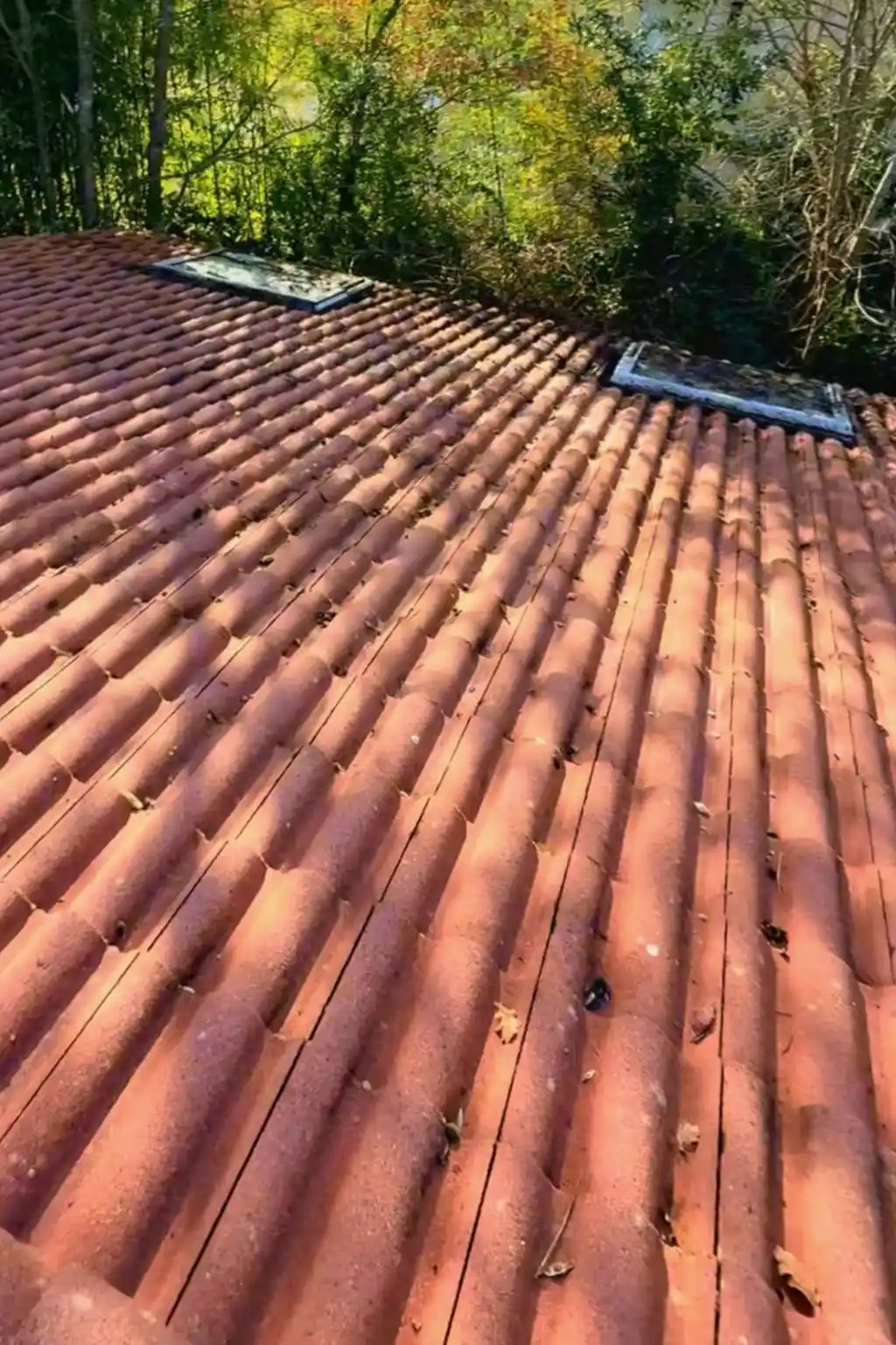 Toiture en tuile après nettoyage