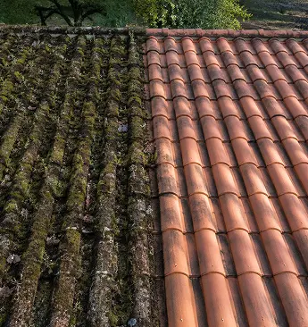 Toiture tuiles avec une partie mousse et une partie nettoyée